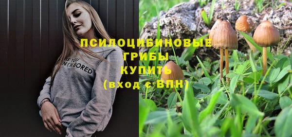 молекула духа Аркадак