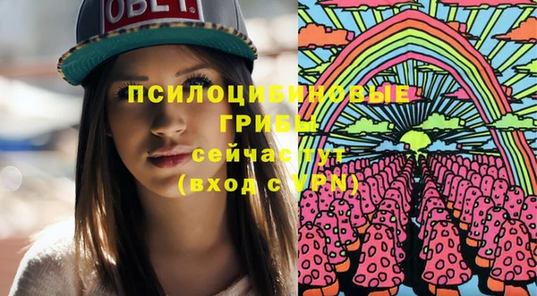 молекула духа Аркадак